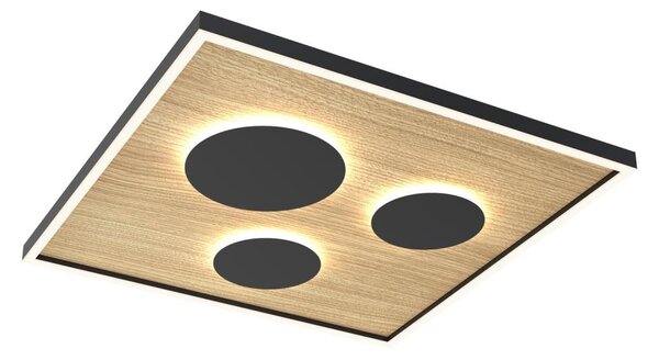Wofi 9012-306L - LED Stmievateľné stropné svietidlo DIJON LED/40W/230V