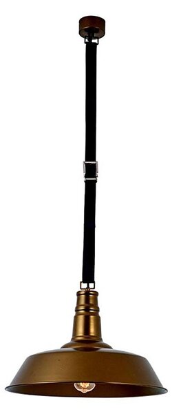 Zambelis 22225 - Luster na lanku 1xE27/40W/230V