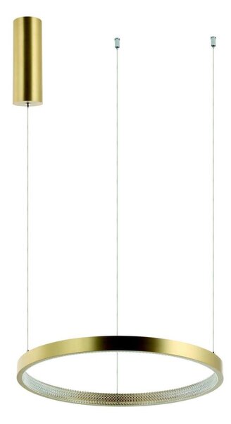 Zambelis 2007 - LED Stmievateľný luster na lanku LED/50W/230V zlatá