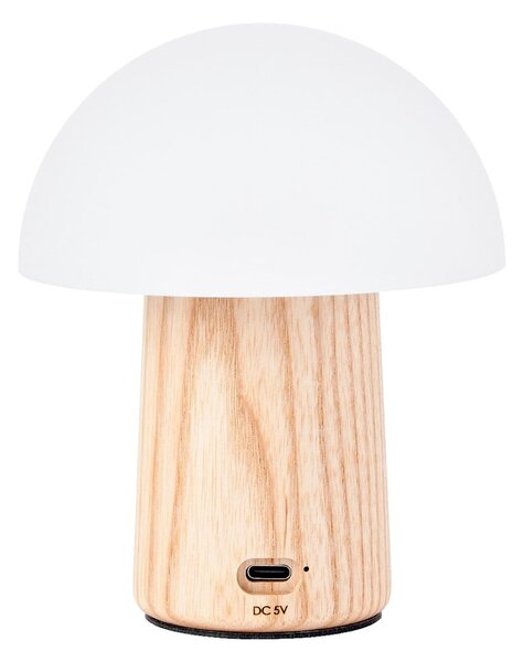 Stmievateľná stolová lampa v prírodnej farbe so skleneným tienidlom (výška 13 cm) Alice – Gingko