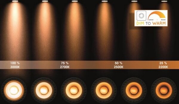 Lucide 31931/24/31 - LED Stmievateľné bodové svietidlo TALA 2xGU10/12W/230V biela