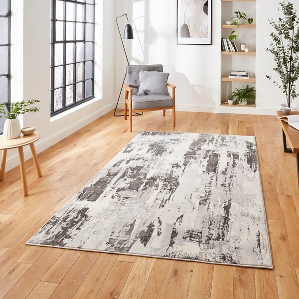 Sivý/béžový koberec 220x160 cm Apollo - Think Rugs
