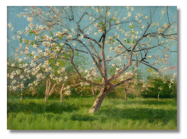 Obraz Ladislav Medňanský - Rozkvitnuté stromy v sade - S (40x30cm) 49€