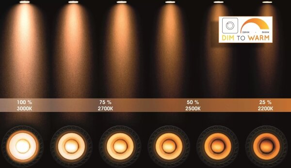 Lucide 17906/06/12 - LED Stmievateľné bodové svietidlo LANDA 1xGU10/5W/230V