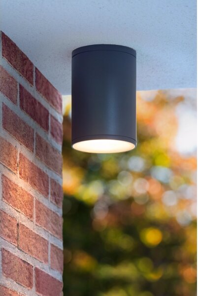 Lucide 27870/01/30 - Kúpeľňové stropné svietidlo TUBIX 1xE27/24W/230V