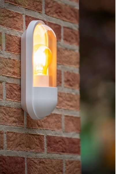 Lucide 29897/01/31 - Vonkajšie nástenné svietidlo CAPSULE 1xE27/15W/230V IP54
