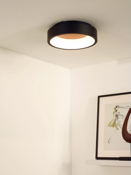 Lucide 46100/20/30 - LED Stmievateľné stropné svietidlo TALOWE LED/20W/230V čierna