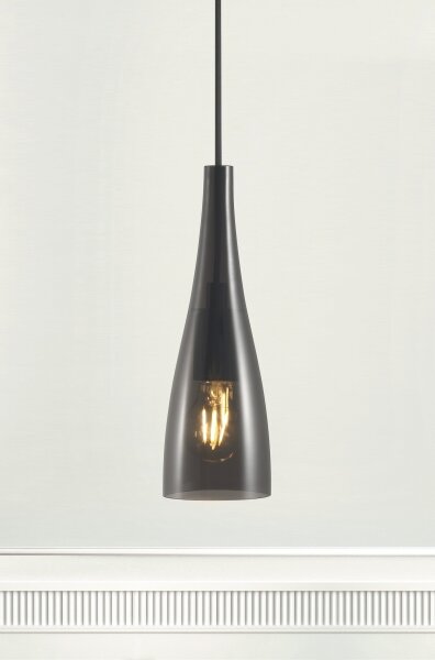 Nordlux - Závesný luster na lane EMBLA 1xE27/40W/230V dymový/čierny