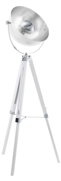 STOJACIA LAMPA, 55/164 cm Eglo - Online Only bytové doplnky, Online Only