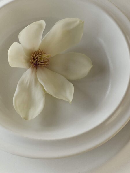Bolia Servírovací tanier Edge Serving Plate Ecru Stoneware, 21x30 cm