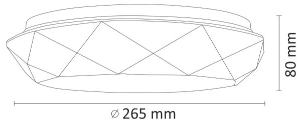 LED Stropné svietidlo SELINA LED/12W/230V