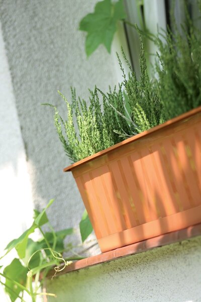 Prosperplast Truhlík ARGO biely, variant 40 cm