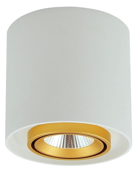 LED Bodové svietidlo XENO LED/15W/230V biela 1200lm