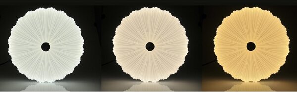 LED Stmievateľné stropné svietidlo FLOWER LED/36W/230V + DO