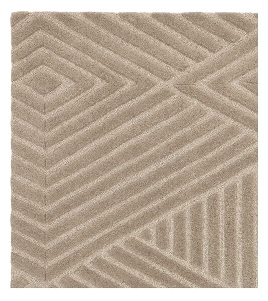 Svetlohnedý vlnený koberec 120x170 cm Hague – Asiatic Carpets