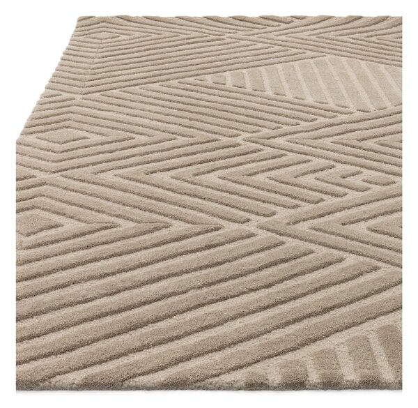Svetlohnedý vlnený koberec 120x170 cm Hague – Asiatic Carpets
