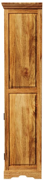 Knižnica Guru 100x200x45 z mangového dreva