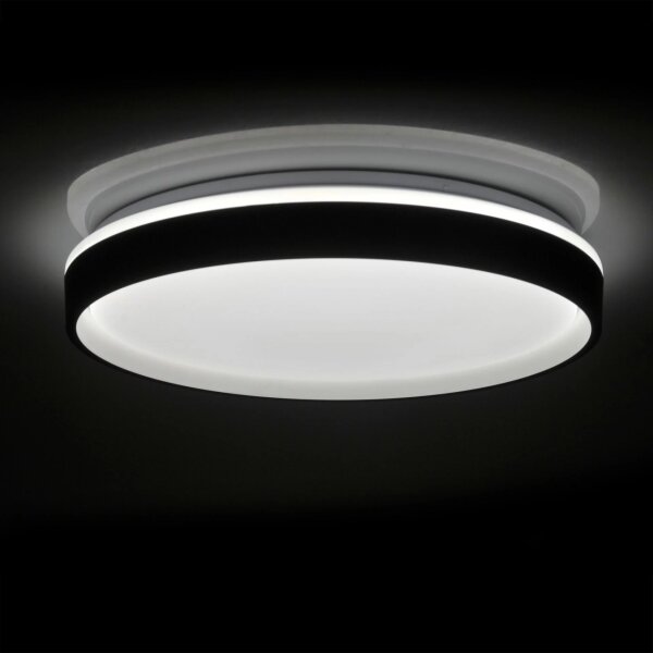 LED Stmievateľné stropné svietidlo JADWIGA LED/42W/230V 3000-6000K + DO
