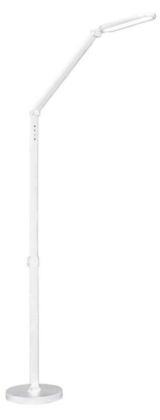 LED Stmievateľná dotyková stojacia lampa FERRARA LED/13W/230V 3000/4000/6000K biela