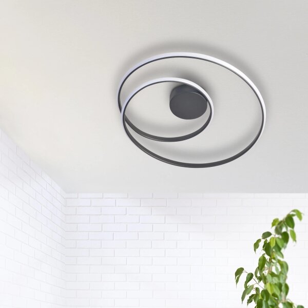 LED Stropné svietidlo ZEFIRA LED/40W/230V 4000K pr. 50 cm antracit