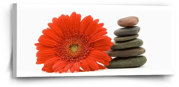Sablio Obraz Gerbera s kameňmi - 110x50 cm