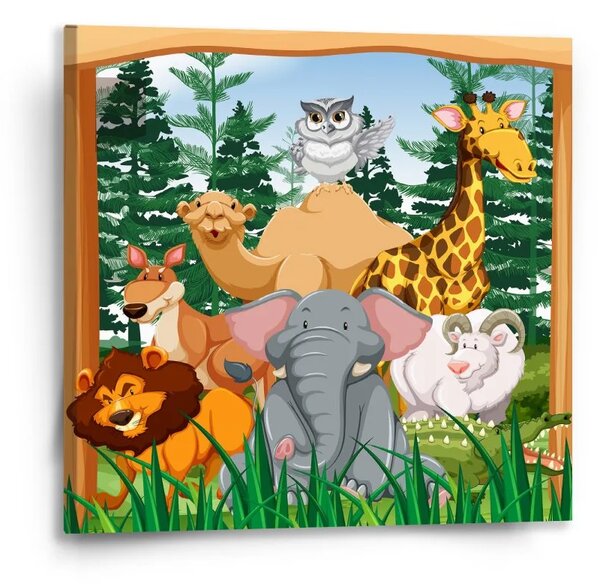 Sablio Obraz Zoo - 50x50 cm
