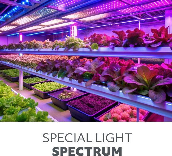 LED Žiarovka na rast rastlín VITABLOOM E27/8W/230V 1200K - Brilagi