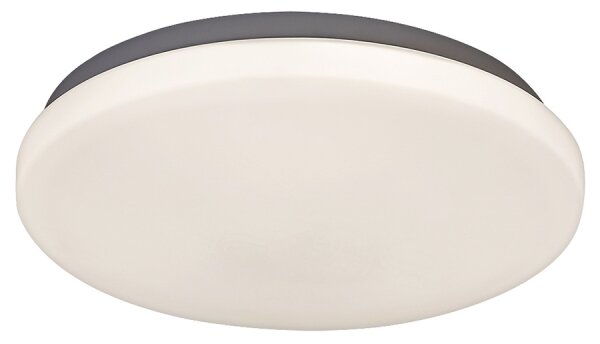 Rabalux 2284 - LED stropné svietidlo ROB LED/20W/230V okrúhle