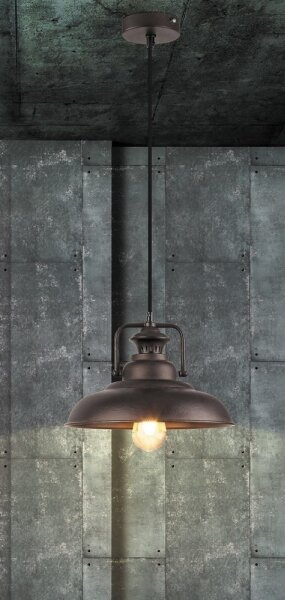 Rabalux 2930 - Luster KYLE 1xE27/60W/230V
