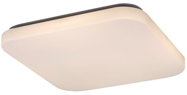 Rabalux 3344 - LED Stropné svietidlo ROB LED/32W/230V