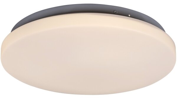 Rabalux 3338 - LED stropné svietidlo ROB LED/20W/230V