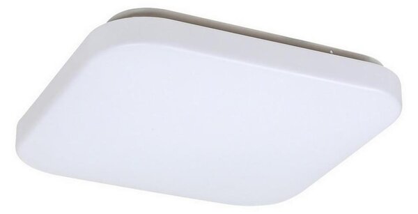 Rabalux 3340 - LED stropné svietidlo ROB LED/20W/230V