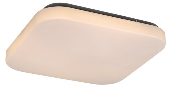 Rabalux 3340 - LED stropné svietidlo ROB LED/20W/230V