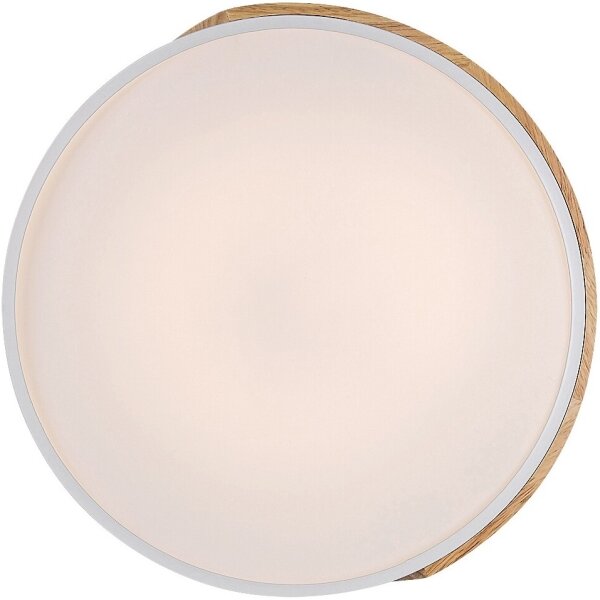 Rabalux 3527 - LED Stropné svietidlo MAPLE LED/24W/230V biela