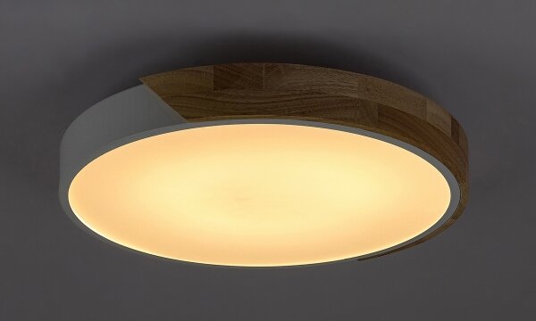 Rabalux 3527 - LED Stropné svietidlo MAPLE LED/24W/230V biela