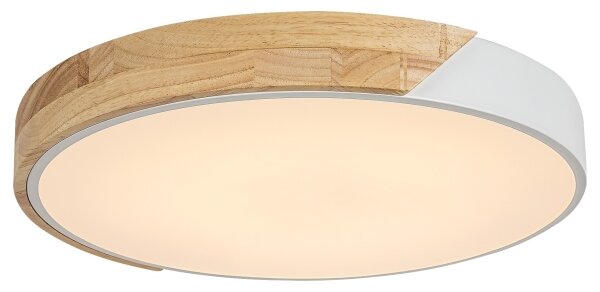 Rabalux 3527 - LED Stropné svietidlo MAPLE LED/24W/230V biela