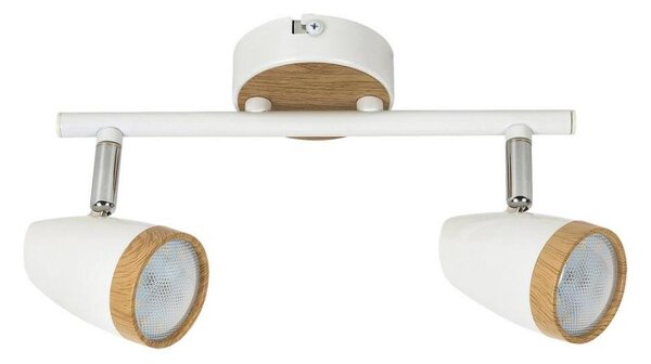 Rabalux 5565 - LED Bodové svietidlo KAREN 2xLED/4W/230V