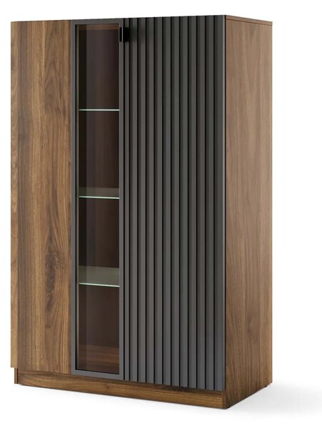 Szynaka Vitrína s LED osvětlením Radium 15 91 cm ořech Columbia/černá