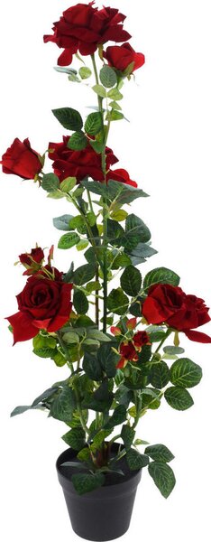 RUŽA - Kvetinové dekorácie