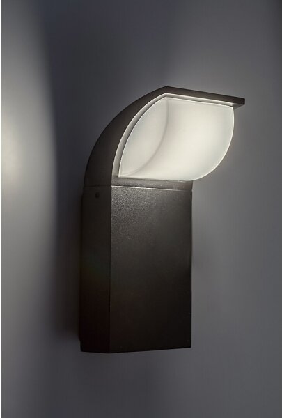 Rabalux 7166 - LED Vonkajšie nástenné svietidlo HONGKONG LED/9W/230V IP65