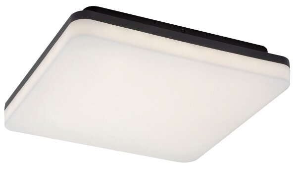 Rabalux 7250 - LED kúpeľňové stropné svietidlo PERNIK LED/24W/230V IP54