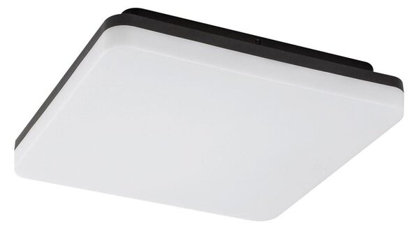Rabalux 7250 - LED kúpeľňové stropné svietidlo PERNIK LED/24W/230V IP54
