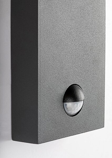 Rabalux 7267 - Vonkajšia nástenná lampa so senzorom SAVANO 1xE27/40W/230V IP44
