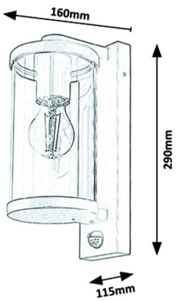 Rabalux - Vonkajšie nástenné svietidlo so senzorom 1xE27/60W/230V IP44