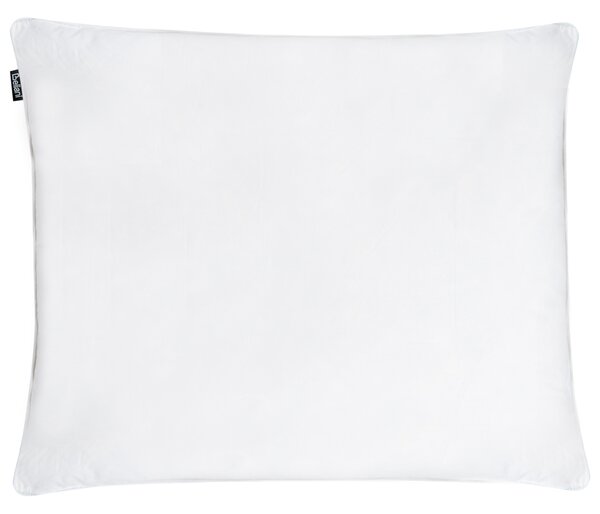 Sada 2 vankúšov biela kačacie perie a páperie 50 x 60 cm bavlnený poťah stredne mäkký