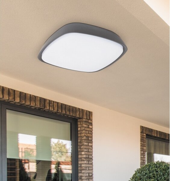 Rabalux 8797 - LED Vonkajšie stropné svietidlo AUSTIN LED/20W/230V IP65