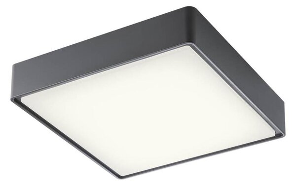 Redo 90158 - LED Vonkajšie stropné svietidlo MARINA LED/16W/230V IP65 antracit