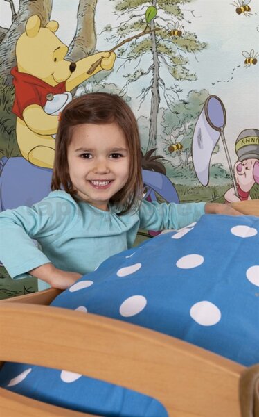 Fototapety Disney Medvídek Pú, rozměr 368 cm x 127 cm, dům Medvídka Pú, Komar 4-413