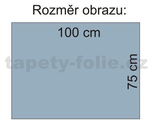 Obraz na stenu motýľ 100 x 75 cm