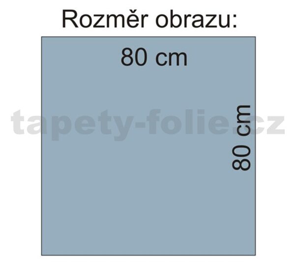 Obraz na stenu wellness orchidea 80 x 80 cm